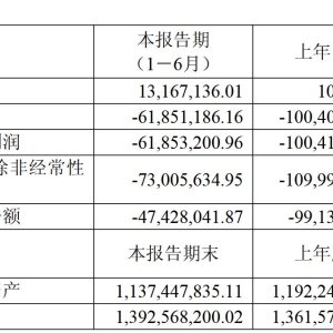 首款上市新药月销上千万元！海创药业上半年仍亏超6000万元，拟暂停一创新药研发项目 ...