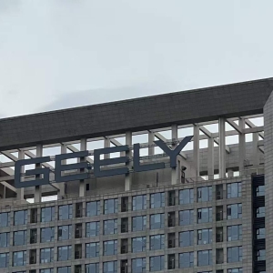 销量紧咬比亚迪！吉利汽车上半年成绩单：营收破1500亿元，净利下滑14% ...