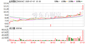 接连降价后 金安国纪终抛售亏损资产