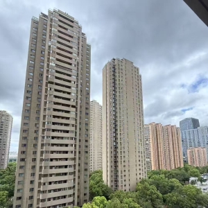 上海“奉贤伍仟哥”：房产中介费只收5000元，“想做低佣模式很久了” ...