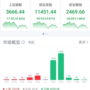 沪指突破3700点后回落，国产芯片双雄逆势大涨，成交额均超百亿元 ...