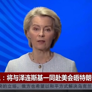 泽连斯基最新发声！冯德莱恩：乌克兰“始终可以信赖欧洲” ...