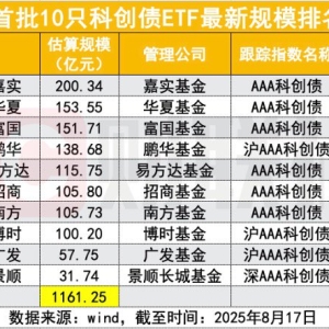 首批科创债ETF上市满月成千亿规模，机构热情抢筹，第二批申报在即 ...