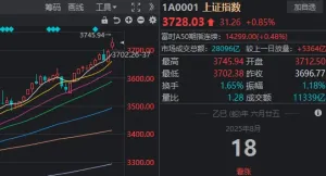 沪指创近十年新高，A股上热搜！新股民现在应该注意什么？