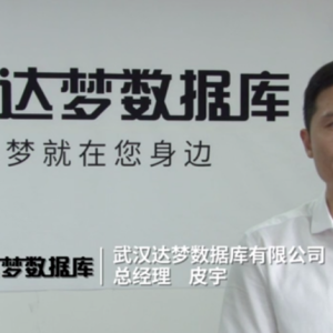 达梦数据董事兼总经理皮宇被留置，一个月前因“工作原因请假未出席”临时股东会 ...