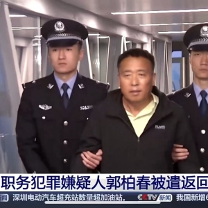 郭柏春，被决定逮捕！曾任银川市副市长，去年3月被遣返回国！两家A股公司最新回应 ...