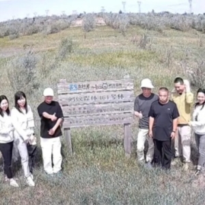 马云时隔六年再现身蚂蚁森林 和树比高