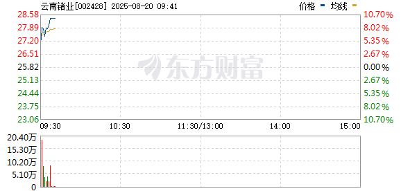 R图 002428_0