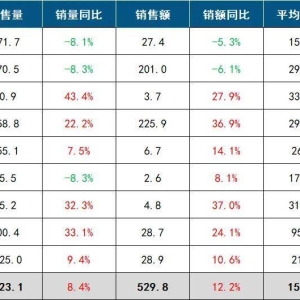 2025上半年AR智能眼镜出货量显著：雷鸟创新、XREAL、星纪魅族前三 ...
