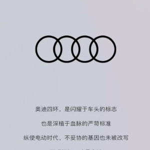 一汽奥迪发文疑似嘲讽上汽奥迪采用AUDI品牌：纵使电动时代，不妥协的基因也未被改写， ...
