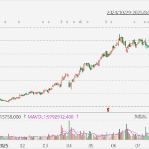 泡泡玛特涨超8%股价突破300港元，再创历史新高，市值突破4000亿港元！王宁：今年收入3 ...