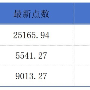 港交所上半年收入创半年度历史新高 ；天岳先进上市首日收涨6.4%丨港交所早参 ...