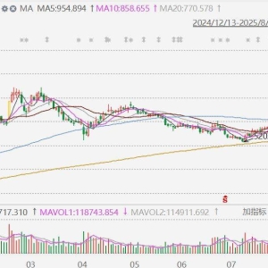 寒武纪拉升涨近10%，报1027元，股价再度突破1000元关口，再创历史新高，市值逼近4300 ...