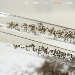 世界蚊子日｜中国“以蚊治蚊”技术已走向世界 人类找到对抗蚊子的“长效妙方”了？ ...