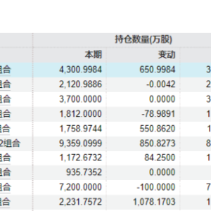 社保基金、养老金最新动向曝光