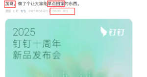 传钉钉CEO“无招”凌晨12点巡查办公区，发现没几个人，质问大家为什么提前下班！钉钉 ...