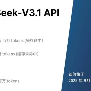 DeepSeek上新！API接口调用价格调整