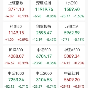 A股收评：指数分化，沪指涨0.13%续创10年新高，创指跌0.47%北证50跌1.6%，跨境支付、 ...