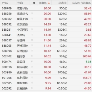 英伟达暂停H20芯片生产，A股半导体股暴涨！成都华微、寒武纪、盛美上海20CM涨停，京仪 ...