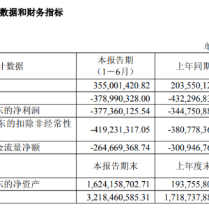 两款核心产品进入医保后销售放量 迪哲医药上半年营收增长74% ...