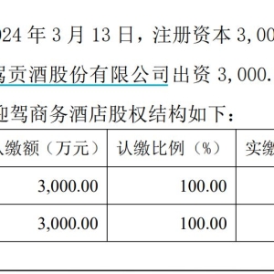 “徽酒榜眼”迎驾贡酒上半年业绩两位数下滑，将卖旗下酒店聚焦主业 ...
