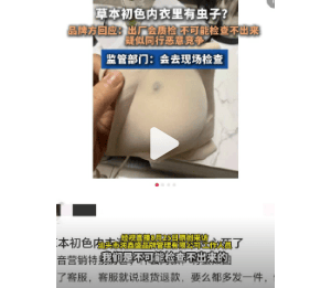 网友爆料：买的草本初色内衣里面有虫子！品牌运营公司回应：这么大的蚊子，我们不可能 ...