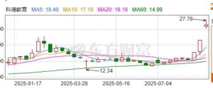 拆解“翻倍股”科德教育半年报：对上半年亏损过亿元的中昊芯英持股比例再下滑 ...