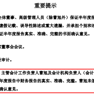 新华锦上半年营收净利润“双降” 还因控股股东资金占用问题面临退市风险 ...