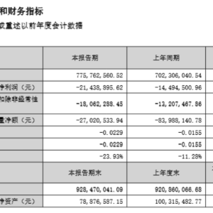 深度｜中嘉博创上半年增收未增利，14.8亿元收购案博弈仍未休 ...