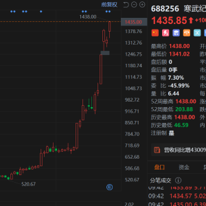 寒武纪涨超8%股价突破1400元，市值站上6000亿！上半年实现营收28.81亿，同比增长4347. ...
