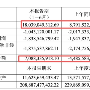 半年报解读｜首开股份：谢忠胜等来其到任后最佳战绩，营收翻倍却没守好北京大本营 ...