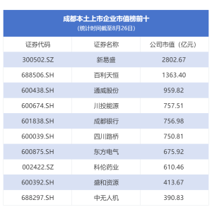 市值“一哥”十年变迁，成都向新