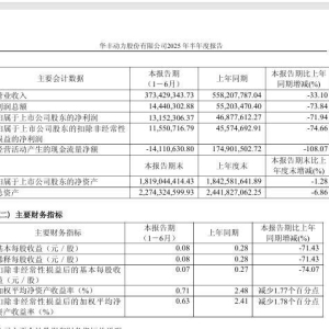 印度受挫，核心业务又“遇冷”   华丰股份上半年净利同比下滑约72% ...