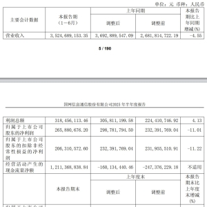 国网信通2025年上半年营收和净利双降 多达11名“董监高”离任 ...