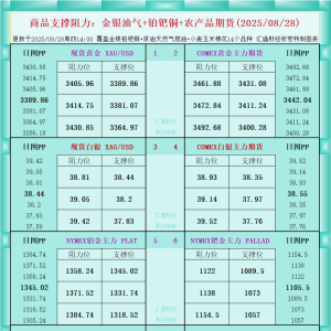 一张图看商品支撑阻力：金银油气+铂钯铜农产品期货(2025年8月28日) ...