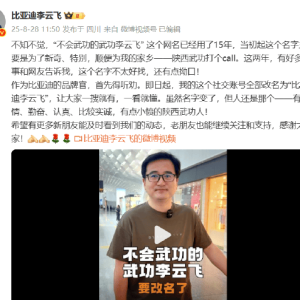 比亚迪集团品牌及公关处总经理李云飞“听劝”更换微博昵称！由“不会功夫的武功李云飞 ...