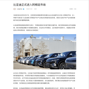 比亚迪正式进入阿根廷市场 首发车型为元UP、宋PRO DM-i和海鸥