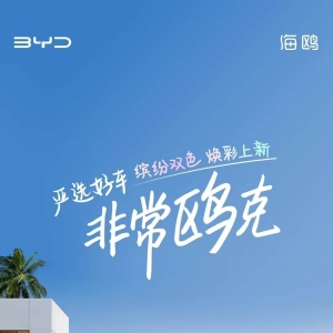 比亚迪海鸥新增蜜桃粉/海鸥白、北冰蓝/曜石黑双色车身