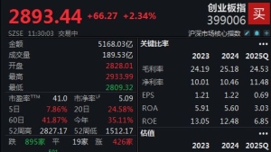 半日大涨2.34%,创业板指数冲向3000点大关