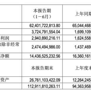 赛力斯2025年半年报“出炉”：净利润增长81.03%，问界系列贡献超八成新能源车销量 ...