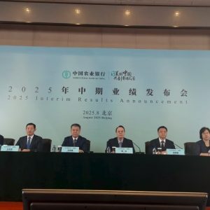 农业银行副行长林立答每经：资产质量将持续稳定，在“控新”“降旧”方面下功夫 ...