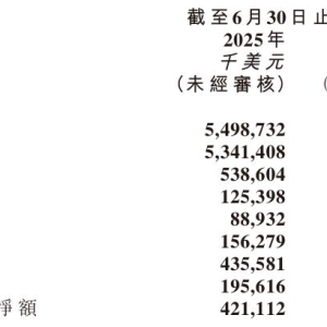 上半年中国市场单票收入承压，极兔管理层：“反内卷”是逐步推进、持续完善的过程 ...