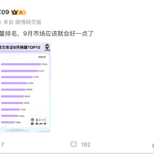 8月车企销量排名：零跑、鸿蒙智行、小鹏排名前3