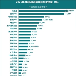 8月新能源车批发销量榜出炉：比亚迪领跑，吉利、特斯拉次之 ...