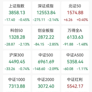 A股收评：三大指数齐跌，沪指跌0.45%，创业板指、深成指跌逾2%，北证50涨0.4%！CPO概 ...
