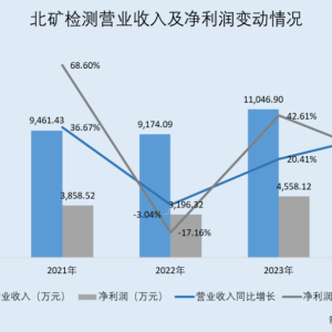 北矿检测：市占率下滑销售人员不足5人 “临阵”调减补血募资额两千万元 ...