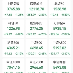 A股收评：三大指数深度回调，沪指跌1.25%科创50跌逾6%，创业板指跌逾4%，CPO概念、半 ...