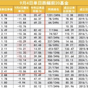 多只基金单日跌幅超10% 高集中持仓赛道基金遭重创 后市怎么看？ ...
