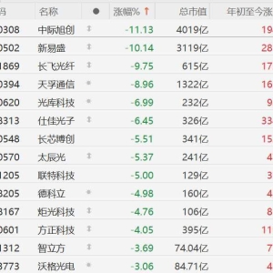 A股CPO概念股集体回调，中际旭创跌超11%，新易盛跌超10%，长飞光纤逼近跌停，天孚通信 ...