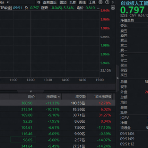 光模块双雄领跌超9%，高“光”创业板人工智能ETF下探逾5%，后市怎么看？三重逻辑下， ...